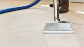 Carpet cleaning wand head gliding over a light carpet during hot-water extraction, Cape Coral, FL.
