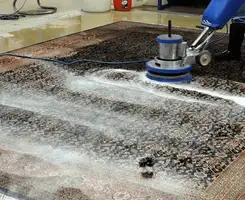 Professional rug cleaning with a rotary floor machine and shampoo foam, deep-cleaning an area rug, in Cape Coral, FL.