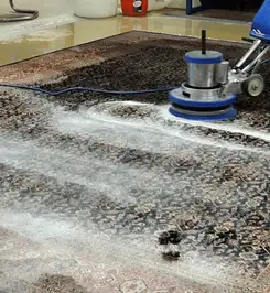 Professional rug cleaning with a rotary floor machine and shampoo foam, deep-cleaning an area rug Cape Coral, FL.